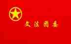 团委工作个人总结8篇