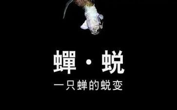 我蜕变作文7篇