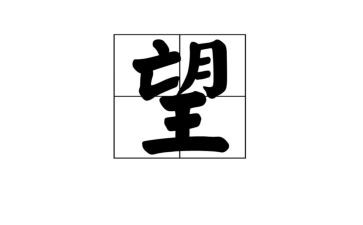 展望高三的演讲稿5篇