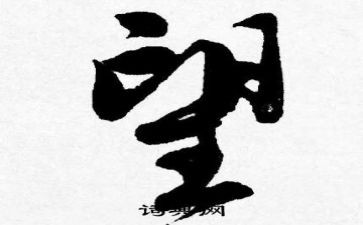 阳光希望的作文8篇