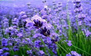 忘我的人读后感优质7篇