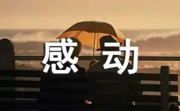 感动小学生作文8篇