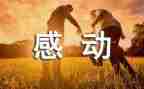 感动中国张桂梅事迹心得体会5篇