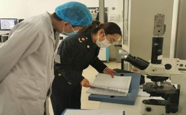 卫生学校的工作总结模板6篇
