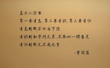 文字调查报告8篇