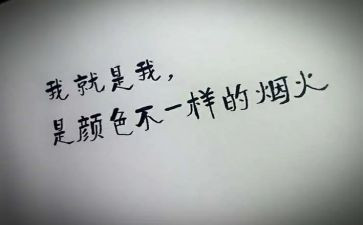 我不一样的初一作文5篇