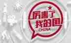 中国,我的国作文6篇