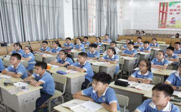 我的老师我的课作文精选5篇