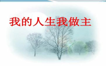 我的我做主500作文通用6篇