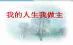 我的我做主500作文通用6篇