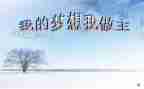 我的我做主500作文优质5篇