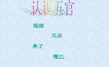 作文五官作文推荐7篇