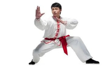 武术院工作总结5篇