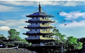 乌塔读后感作文5篇