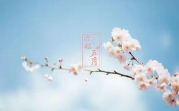 学生会五月工作总结5篇