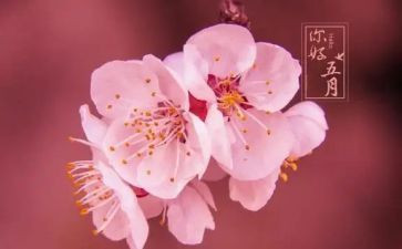 五月份的演讲稿7篇