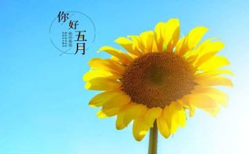 小班五月工作计划7篇