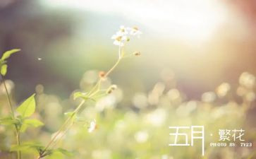 五月的心得5篇