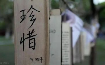 爱惜粮食的作文模板7篇