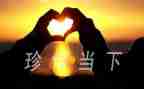 珍惜时演讲稿8篇