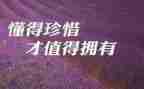 珍惜水的演讲稿300字5篇