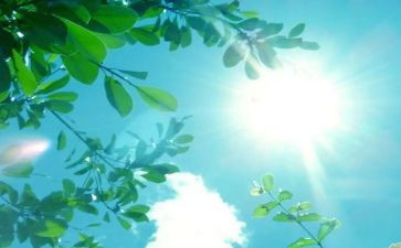 《夏天》读后感7篇