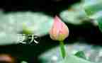写夏雨的作文模板7篇
