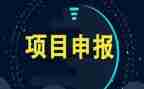 项目月工作总结推荐5篇