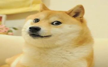 笑对挫折演讲稿800字8篇