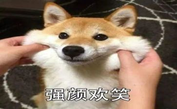 我和笑的故事作文推荐8篇