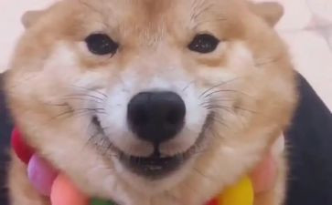 笑对挫折演讲稿600字最新7篇