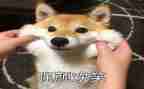 笑对挫折的演讲稿7篇