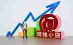 小额贷款申请书模板5篇