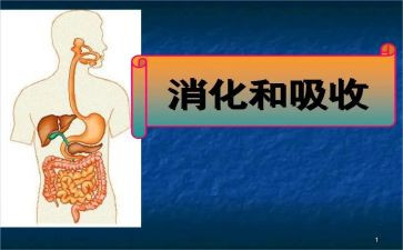 2024年消化内科工作计划5篇