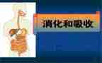 2024年消化内科工作计划5篇