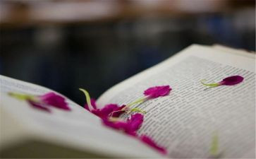 写小说类作文5篇