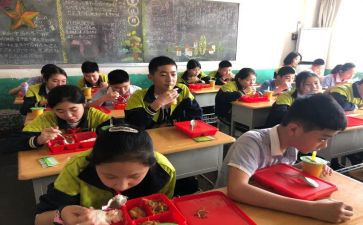 小学安全教育教案模板8篇