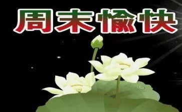 我的星期天作文400字5篇
