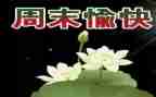 我的星期天作文400字5篇