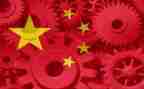 形势与政策心得6篇