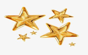 写关于追星星的作文7篇