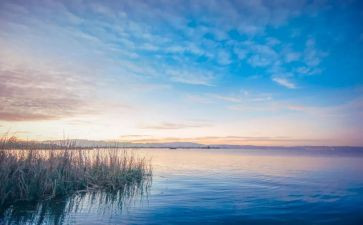 谁拨动我的心弦作文参考7篇