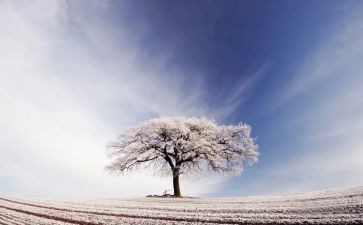 除雪物资申请书6篇