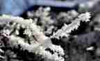 社区除雪工作总结最新8篇