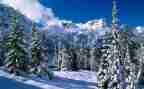 滑雪作文通用6篇