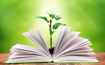幼儿园春季教育教学工作计划8篇
