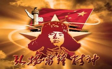 县学雷锋工作总结精选5篇