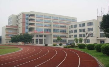 学校管理师工作总结报告6篇