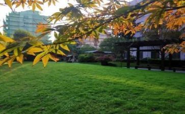 回学校的心得体会优质5篇