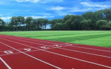 学校食堂工作年度工作总结模板8篇